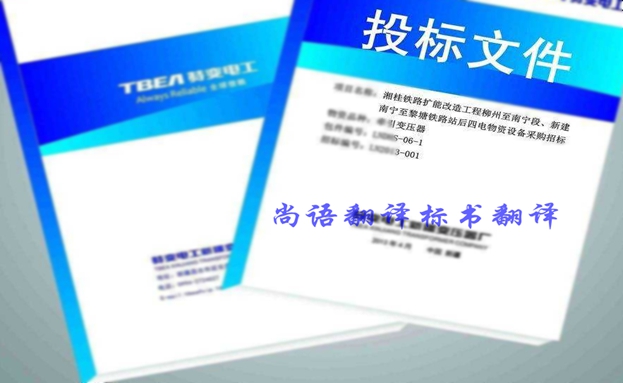 西班牙語(yǔ)投標(biāo)書翻譯價(jià)格要多少錢？收費(fèi)標(biāo)準(zhǔn)是什么？